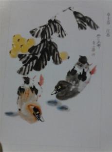 Y-08