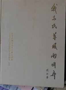 Y-20