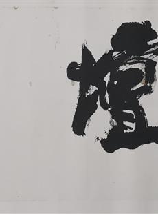 Y-14